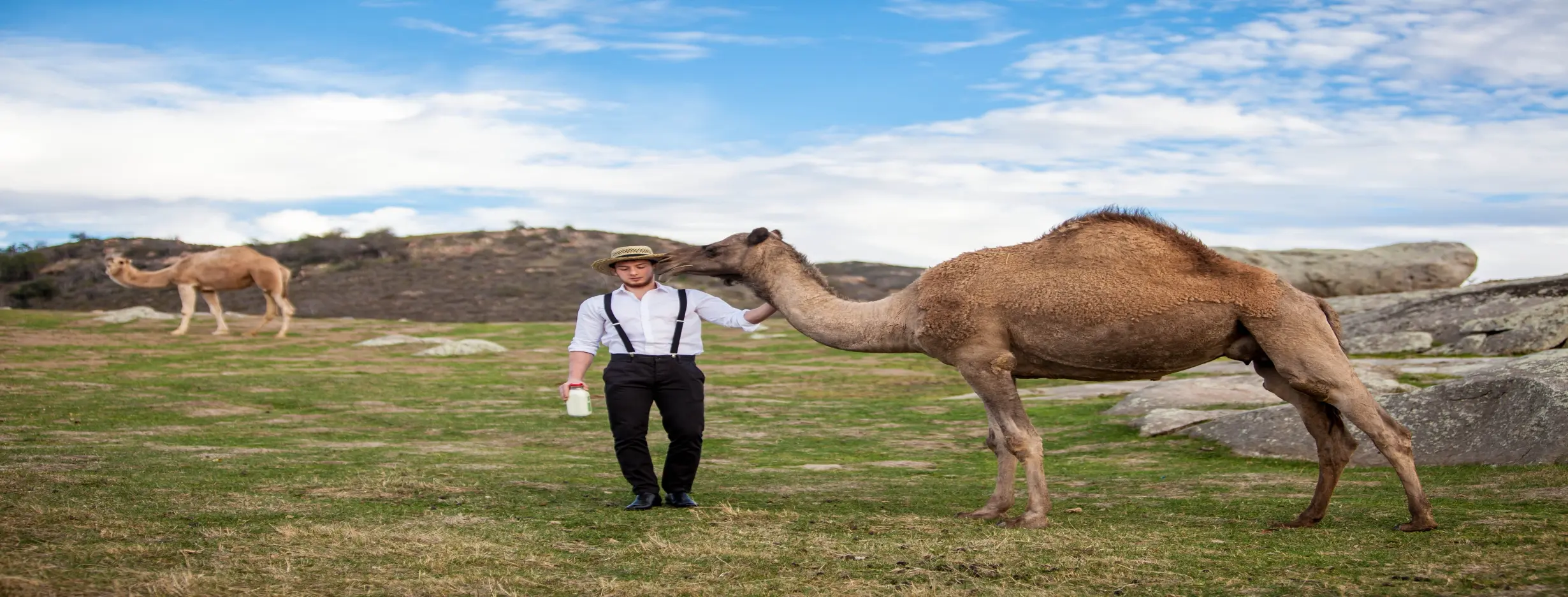 Image for Camel Market
